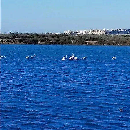 Village Marina, Olhao, 4 Personnes Piscine Apartament